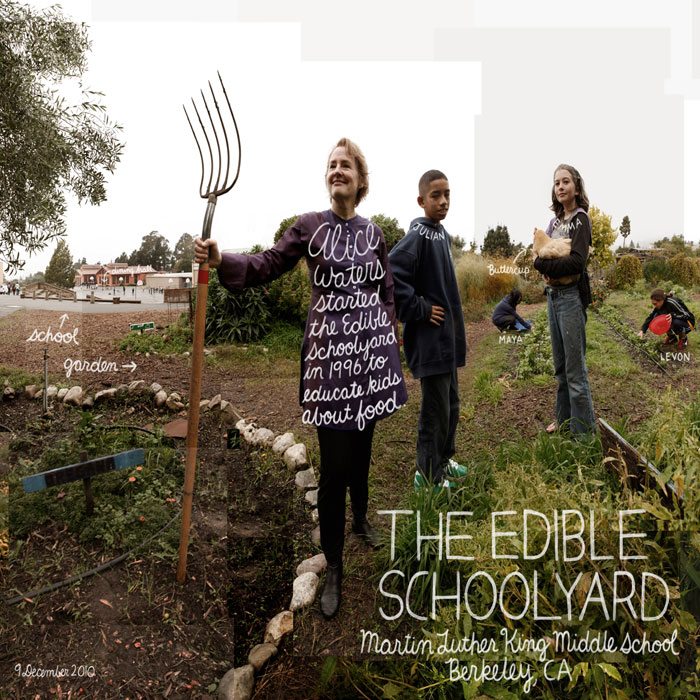 Edible School Yard Project